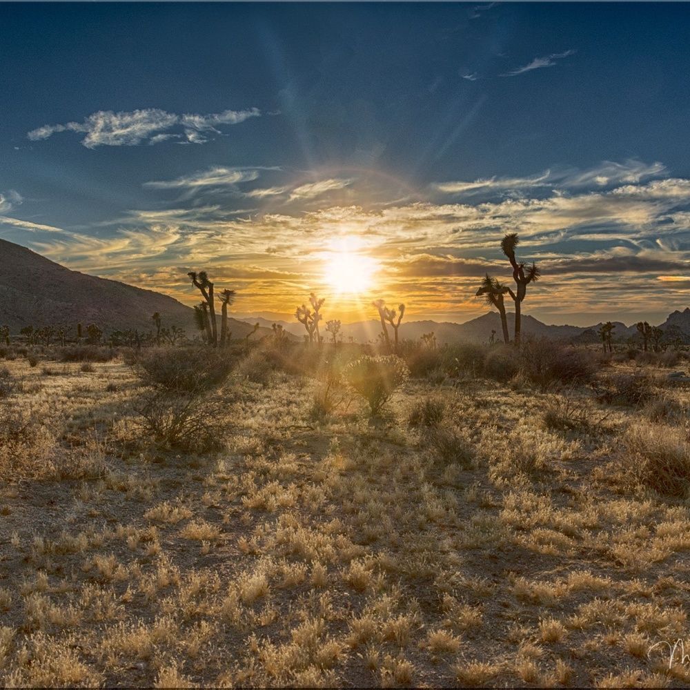 Some Amazing JT sunsets!
